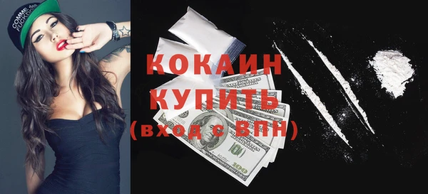 гидра Горнозаводск