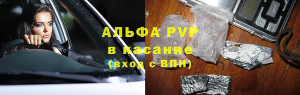 гидра Горнозаводск