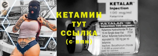 гидра Горнозаводск