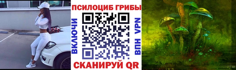 Галлюциногенные грибы Psilocybine cubensis  мега как зайти  Пятигорск 